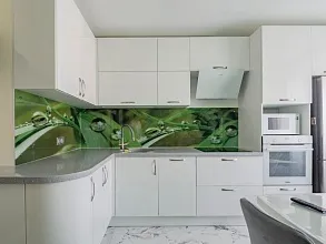 Кухня Дин46
